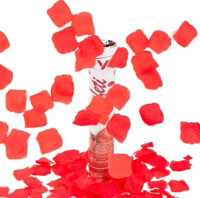 Image de Confetti Pétales de Rose Rouge Tir Tube Pour Mariage Fiançailles Saint-Valentin Mariage