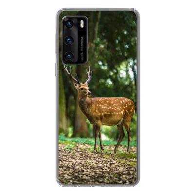 Produktbild von MuchoWow® Handyhülle Schutzhülle Hülle für Huawei P40 Rotwild - Wald - Tier Silikon Softcase Handy Hülle - Handytasche