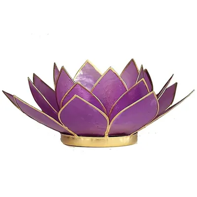 Immagine prodotto di Lotus Atmosferica finiture in oro lilla chiaro - 13,5 cm