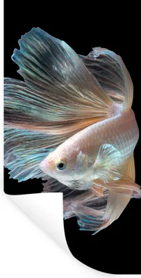 Produktbild von MuchoWow® Wandtattoo Wandsticker Wandaufkleber Fisch - Schwanz - Schwarz 60x120 cm Selbstklebend und Repositionierbar - Selbstklebend - Fototapeten