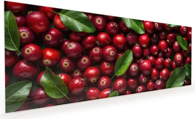 Produktbild von Küchenrückwand Spritzschutz Glas mit Motiv Frische Preiselbeeren 40 x 40 cm