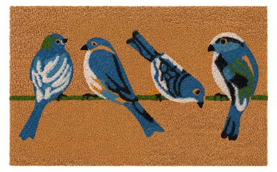 Produktbild von Relaxdays Fußmatte Kokos 60x40cm, Türvorleger Schwalben, rutschfest, wetterfest, Fußabstreifer innen & außen, mehrfarbig