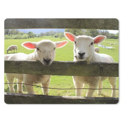 Produktbild von MuchoWow® Mauspad Mousepad Schafe - Tiere - Bauernhof 23x19 cm - Mousepads - Maus Mat - Pad - Mausunterlage - Schreibtischunterlage - Mauspad