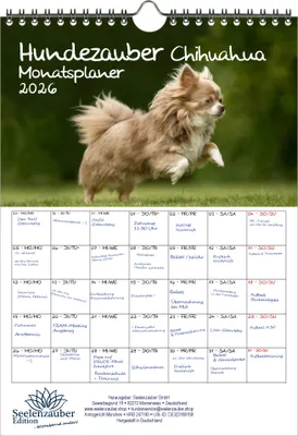 Produktbild von Hundezauber Chihuahua Planer DIN A4 Kalender für 2026 Welpen und Hunde - Seelenzauber