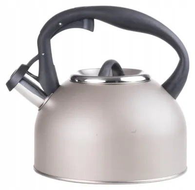 Image de Bouilloire sifflante Bouilloire en acier inoxydable 2,5 L Bouilloire électrique Bouilloire gris mat Induction Poignées noires