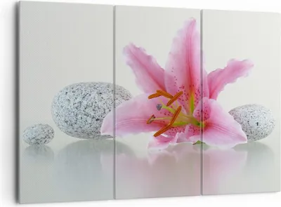 Produktbild von Bild auf Leinwand - Leinwandbild - Lilienblüte grün Pflanze - 165x110cm - Wand Bild - Wanddeko - Leinwanddruck - Bilder - Kunstdruck - Wanddekoration - Leinwand bilder - Wandkunst - CE165x110-0485
