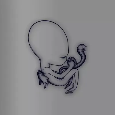 Produktbild von Sigur Rós - Agaetis Byrjun (A Good Beginning) (20th Anniversary Edition) (Reissue) (4 CD)