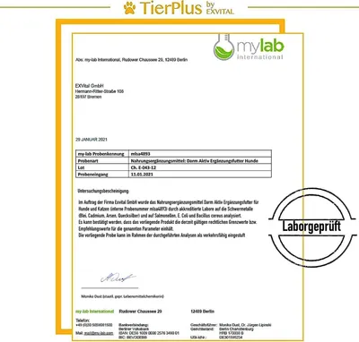 Produktbild von Darm Aktiv Pulver für Hunde & Katzen, Probiotika & Präbiotika