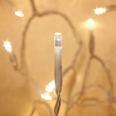 Produktbild von Lichterkette LED-Lichterkette, 20 Birnchen, für innen, Batteriebetrieb 2m