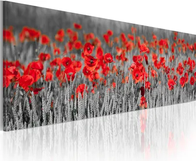 Produktbild von Modernes Wandbild 9060126 (120x40) - 1 Teilig Bilder Fotografie auf Vlies Leinwand Foto Bild Dekoration Wand Bilder Kunstdruck