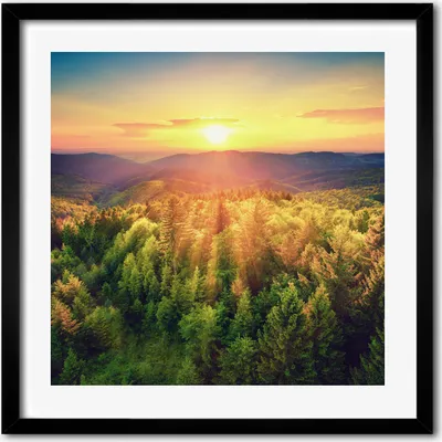 Produktbild von Bild - 50 cm x 50 cm - MDF - Rahmen, Wandkunst - Wald Sonnenuntergang
