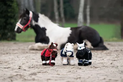 Three small stuffed ponies are in the foreground on a sandy surface, with a larger real horse lying down in the background.