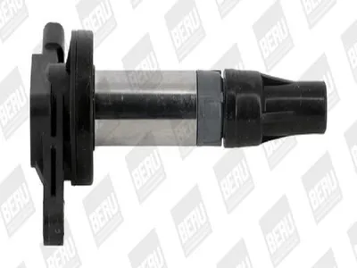 Produktbild von BorgWarner (BERU) ZSE196 Zündspule 12V für LAND ROVER Range Rover Sport (L320) für JAGUAR XF (J05, CC9)