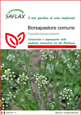 Immagine prodotto di SAFLAX  - Borsapastore comune - 1000 semi - Capsella
