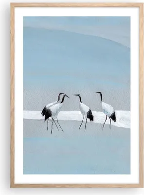 Produktbild von Gerahmtes Poster - Rahmen in heller Eiche - Vögel Kraniche Natur - 50x70 cm - Wand Bild - Wanddeko - Wandbilder - Kunstposter - Wandposter - Bilderrahmen - Bilder - Kunstdruck - P2NPA50x70-4921