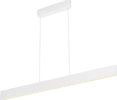 Produktbild von Philips Hue White & Color Ambiance Ensis Pendelleuchte weiß (871951434346700)