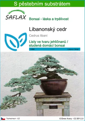 Obrázek produktu pro SAFLAX - Libanonský cedr - Cedrus libani - 20 Semena - S pěstebním substrátem bez klíčků