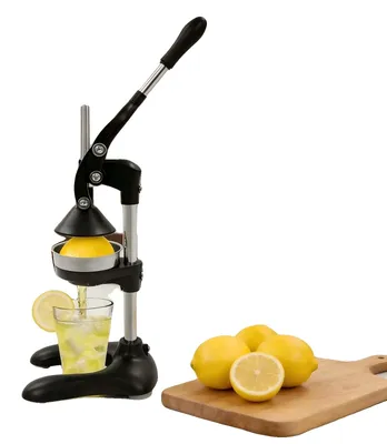 Immagine prodotto di Estrattore di succo manuale, in acciaio inossidabile 304, capacità di 500 ml, diametro del pressa di 120 mm, asta del pressa di 36 cm, altezza totale di 45 cm