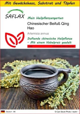 Produktbild von SAFLAX Anzucht Set - Chinesischer Beifuß Qing Hao - Artemisia annua - 250 Samen - Mit Mini-Gewächshaus, Anzuchtsubstrat und 2 Töpfen