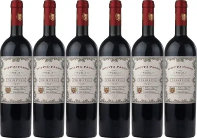 Produktbild von 6x Doppio Passo Puglia Primitivo 13% Vol. 0,75L (I)