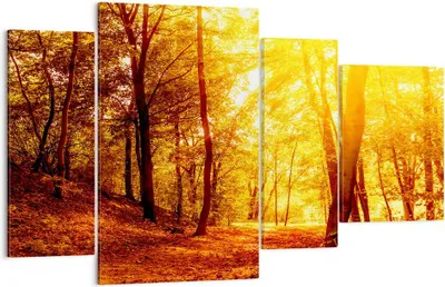 Produktbild von Bild auf Leinwand - Leinwandbild - Wald Baum Natur - 120x70cm - Wand Bild - Wanddeko - Wandbilder - Leinwanddruck - Bilder - Kunstdruck - Wanddekoration - Leinwand bilder - Wandkunst - DL120x70-3722
