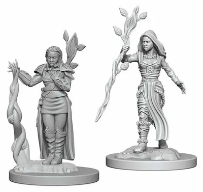 Zdjęcie produktu dla Dungeons & Dragons - Nolzurs Marvelous Miniatures - Ludzka druidka