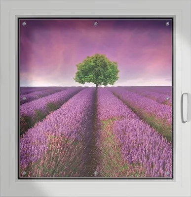 Produktbild von Wallario Lichtschutzbild, Dekorativer Sichtschutz Sonnenschutz 96 x 93 cm mit Motiv: Lila Blumenfeld - Verdunklung ohne Bohren