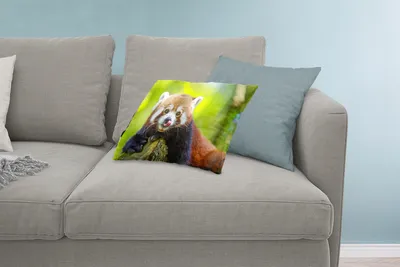 Produktbild von MuchoWow® Zierkissen Sofakissen Wohnzimmer Dekokissen 60x40 cm Roter Panda - Natur - Rüssel - Kopfkissen - Polster mit Foto