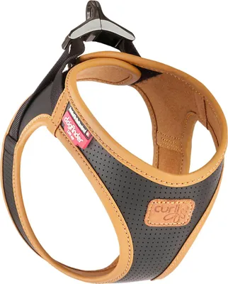 Produktbild von Curli Apple Leather Geschirr schwarz XS
