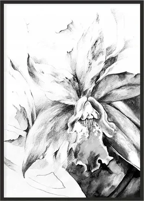Obrázok produktu pre Obraz Plagát v ráme 53x73 cm Kvetina P1099
