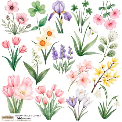 Produktbild von AUFKLEBER ScrapLove Dekor Stickers - Spring Small Flowers 1