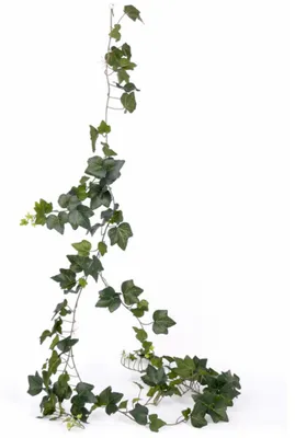 Produktbild von Kunstliche Pflanze Hedera efeu - 205 cm - innen - grun
