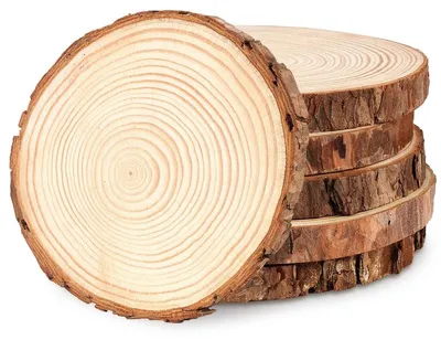 Zdjęcie produktu dla Solidchoice - Zestaw 6 drewnianych talerzy o średnicy 16-17 cm