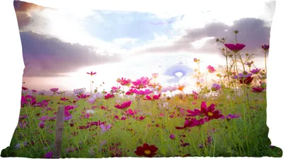 Produktbild von MuchoWow® Zierkissen Sofakissen Wohnzimmer Dekokissen 50x30 cm Sonnenuntergang - Blumen - Rosa - Natur - Grün - Wohnzimmerdekoration - Polster mit Photo
