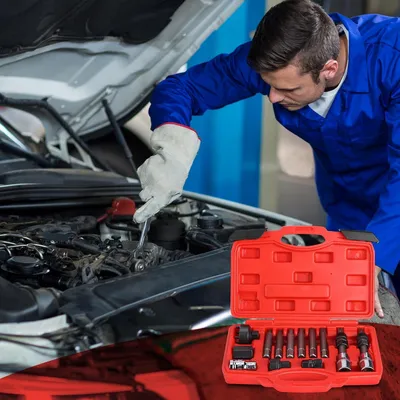 Productafbeelding van 13-delige set gereedschap voor het demonteren van vrijloopkoppelingen - set bits voor het demonteren van riemschijven - gereedschapset voor service in de werkplaats.