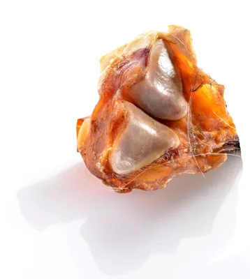 Produktbild von Pferde Achillesknochensehnen getrocknet 5 Kg Hundesnack Kausnack Hundeleckerlie getreidefrei für Hunde natürlich ohne Zusätze
