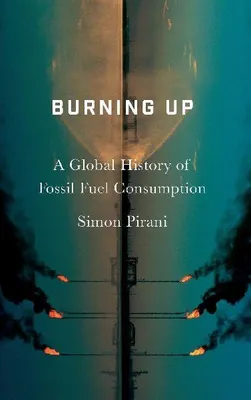 Produktbild von Burning Up