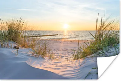 Produktbild von MuchoWow® Poster Strand - Sonne - Düne - Gras - Sand - Horizont 120x80 cm - Bilder