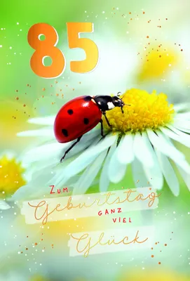 Produktbild von A 85. Geburtstag  Karte mit Briefumschlag Marienkäfer auf Blüte, mit Goldfolie