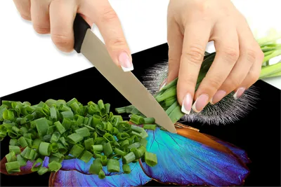 Obrázok produktu pre Ochranný sklenený plech na sporák 60x52 Butterfly