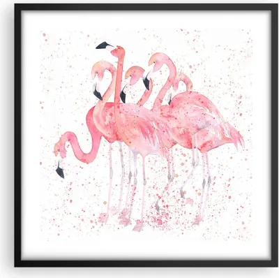 Produktbild von Gerahmtes Poster - Schwarzer Rahmen - Flamingo Vogel Wasser - 50x50 cm - Wand Bild - Wanddeko - Wandbilder - Kunstposter - Wandposter - Bilderrahmen - Bilder - Kunstdruck - Wandbild - P2BAC50x50-3899