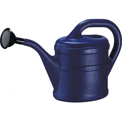 Immagine prodotto di Annaffiatoio 2l blu