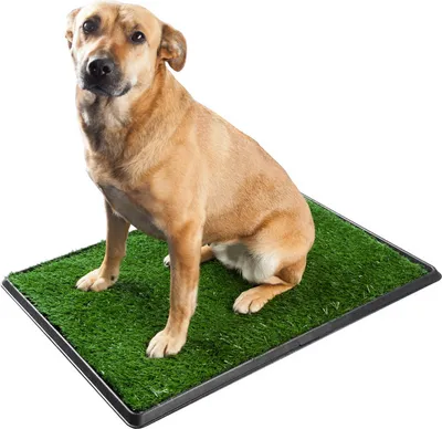 A dog sits on a large artificial grass potty pad.