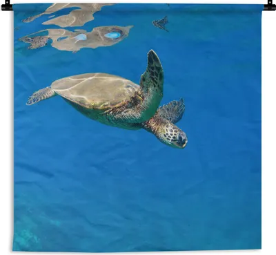 Produktbild von MuchoWow® Wandteppich Wandbehang Schildkröte schwimmt im Meer 90x90 cm Tapisserie Dekoration Wandtuch - Wandaufhänger