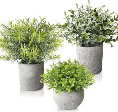 Produktbild von Famanu Kunstpflanzen Set 3 Stück - 25 cm hoch, mit Töpfen