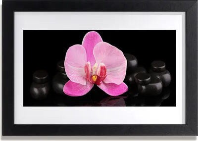 Produktbild von Bild 30x20 MDF-Rahmen Wandkunst Stein Blume Pflanze