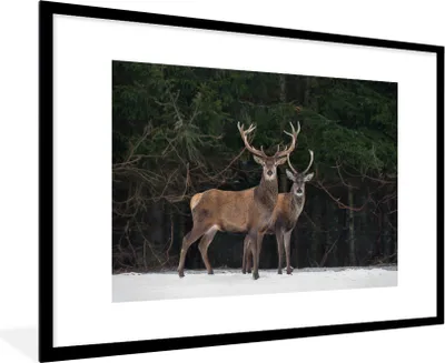Produktbild von MuchoWow® MuchoWow® Gerahmtes Poster Rotwild - Schnee - Wald 90x60 cm - Poster mit zchwarzem Bilderrahmen - Wanddekoration - Fotos