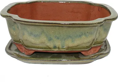 Image de bol bonsaï avec soucoupe taille 5 -  haitang i4 - brun olive - l 31,5cm - b 26cm - h 11cm