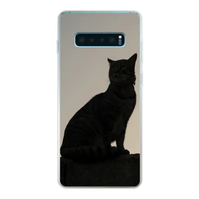 Produktbild von MuchoWow® Handyhülle Schutzhülle Hülle für Samsung Galaxy S10 Lite Katze - Dunkelheit - Zaun Silikon Softcase Handy Hülle - Schutz
