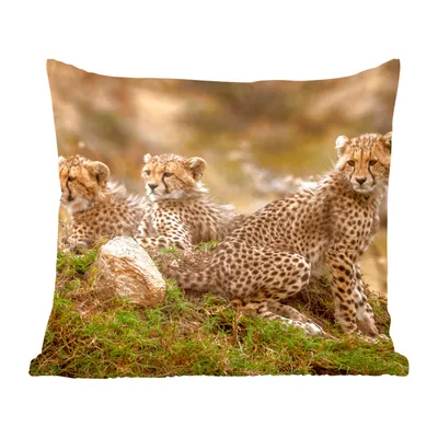 Produktbild von MuchoWow® Zierkissen Sofakissen Wohnzimmer Dekokissen 50x50 cm Leopard - Wald - Tier - Komfort - Sofakissen